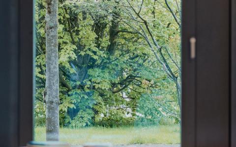 Blick aus dem Fenster